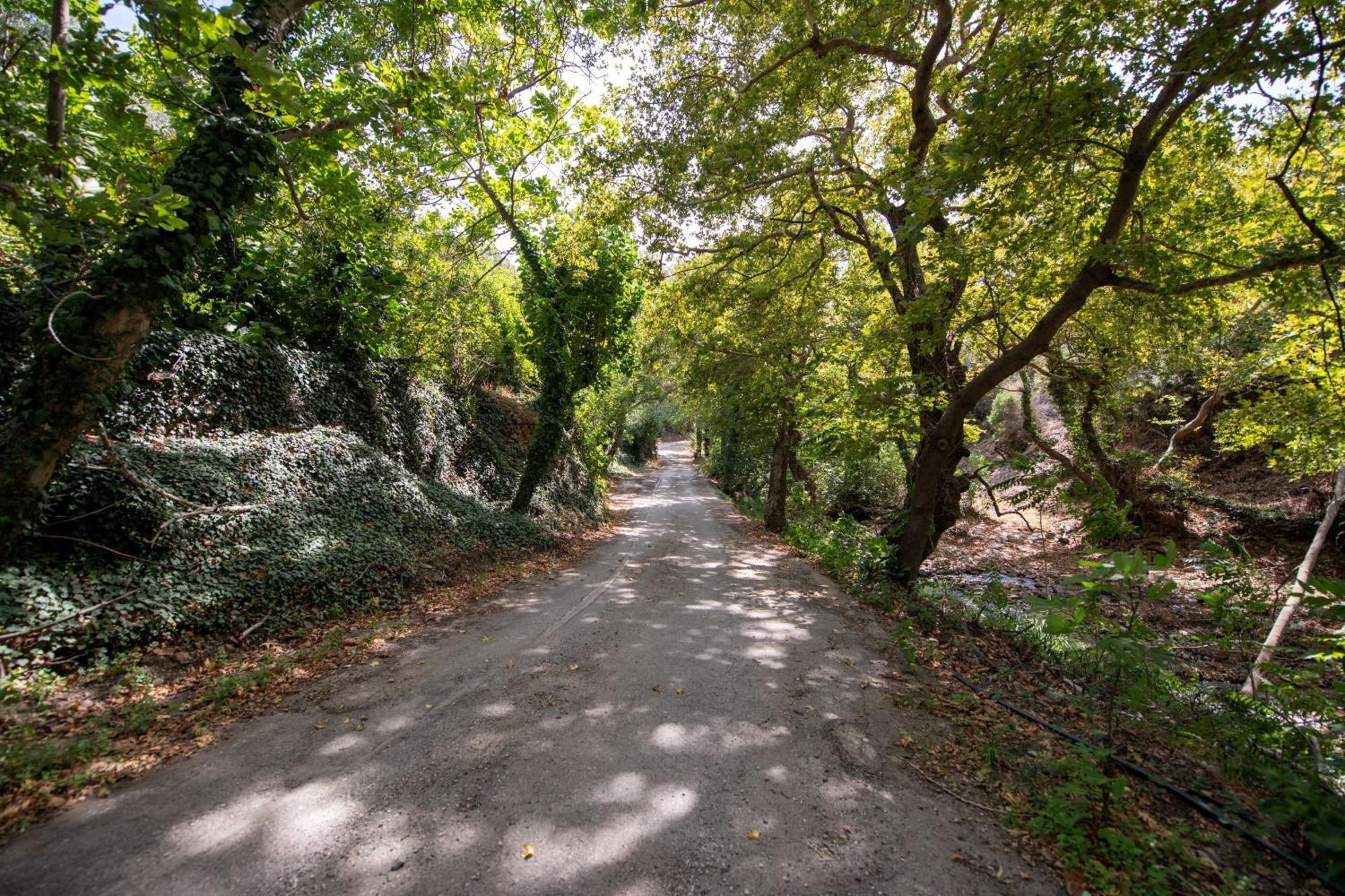 Serenity River Villa Παλαιοχώρα Εξωτερικό φωτογραφία