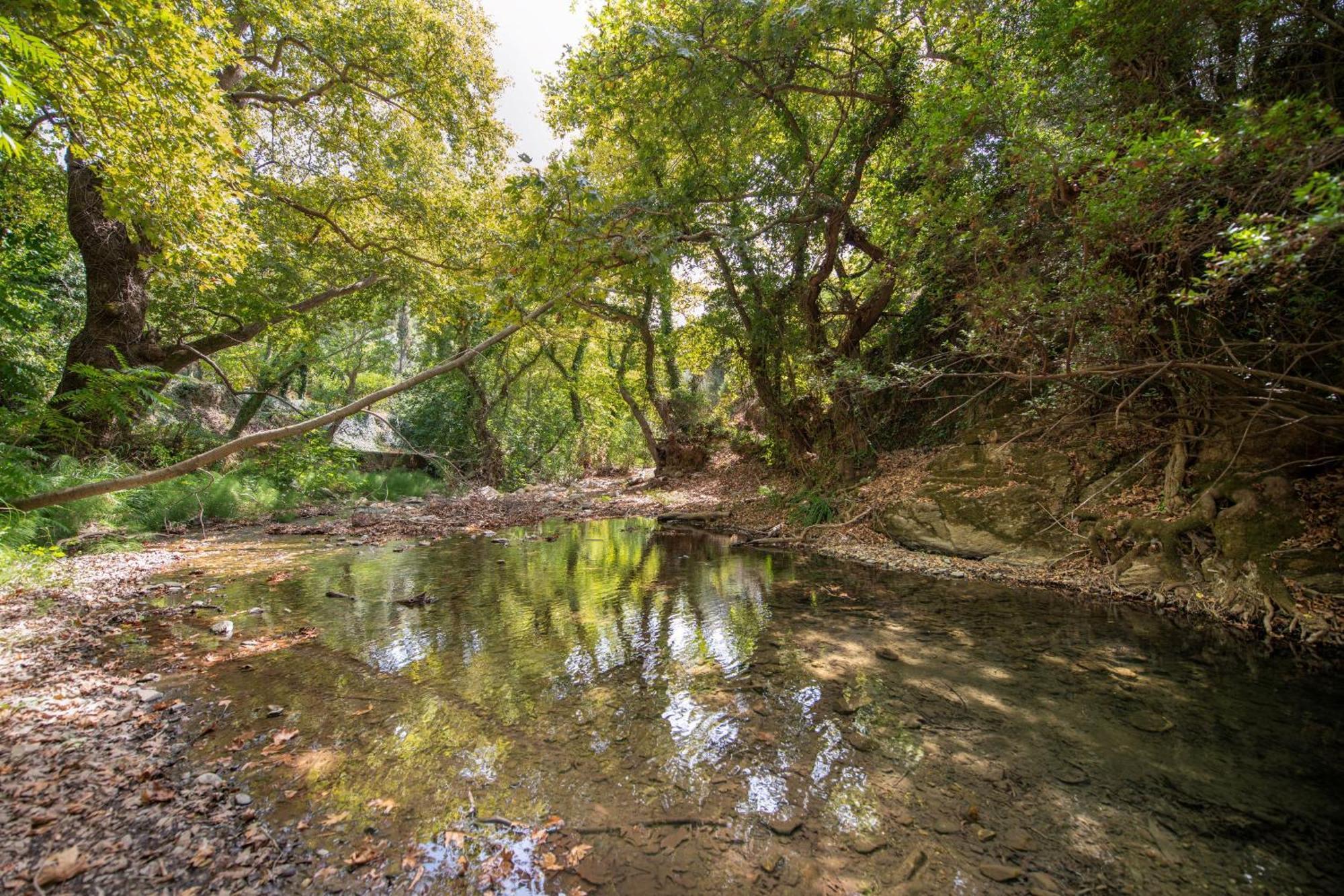 Serenity River Villa Παλαιοχώρα Εξωτερικό φωτογραφία
