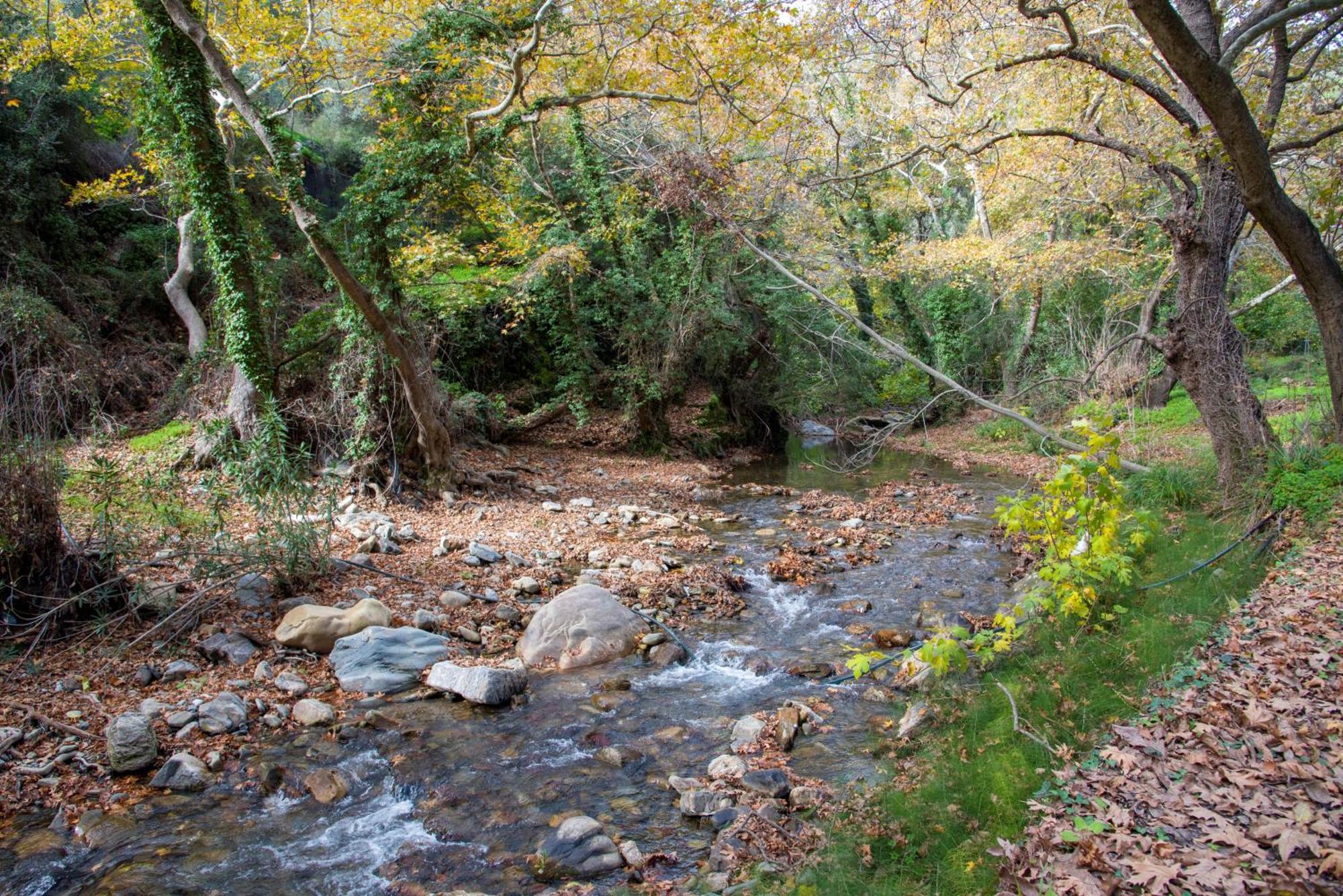Serenity River Villa Παλαιοχώρα Εξωτερικό φωτογραφία