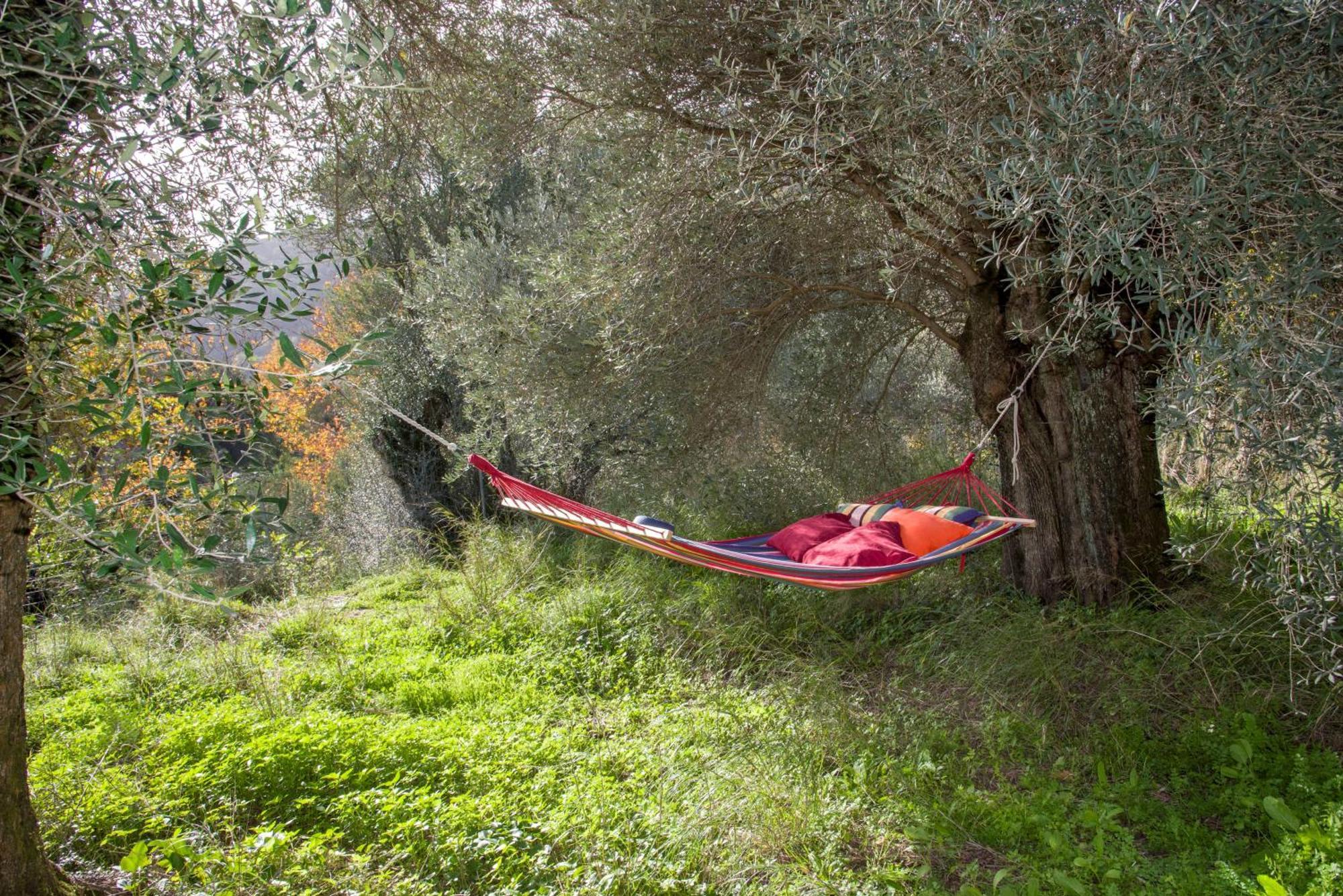 Serenity River Villa Παλαιοχώρα Εξωτερικό φωτογραφία